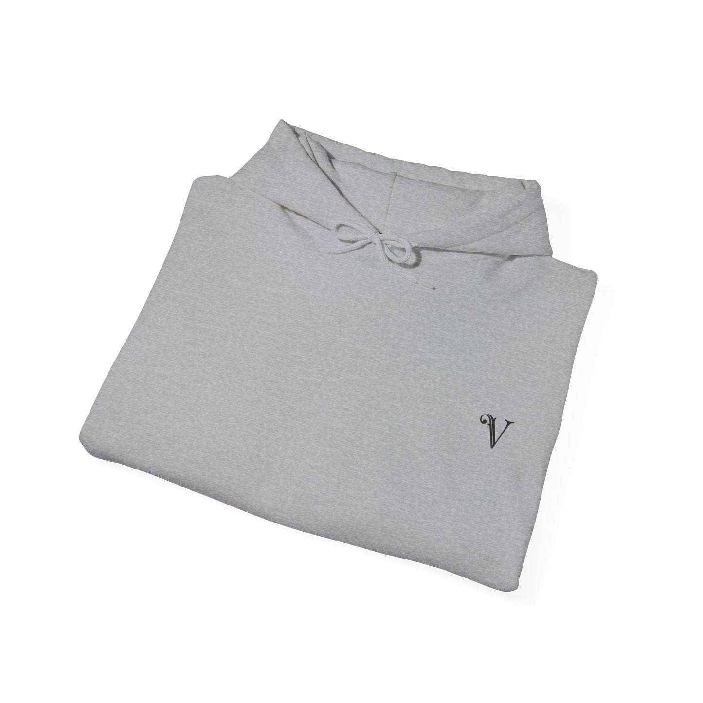 V1 Hoodie