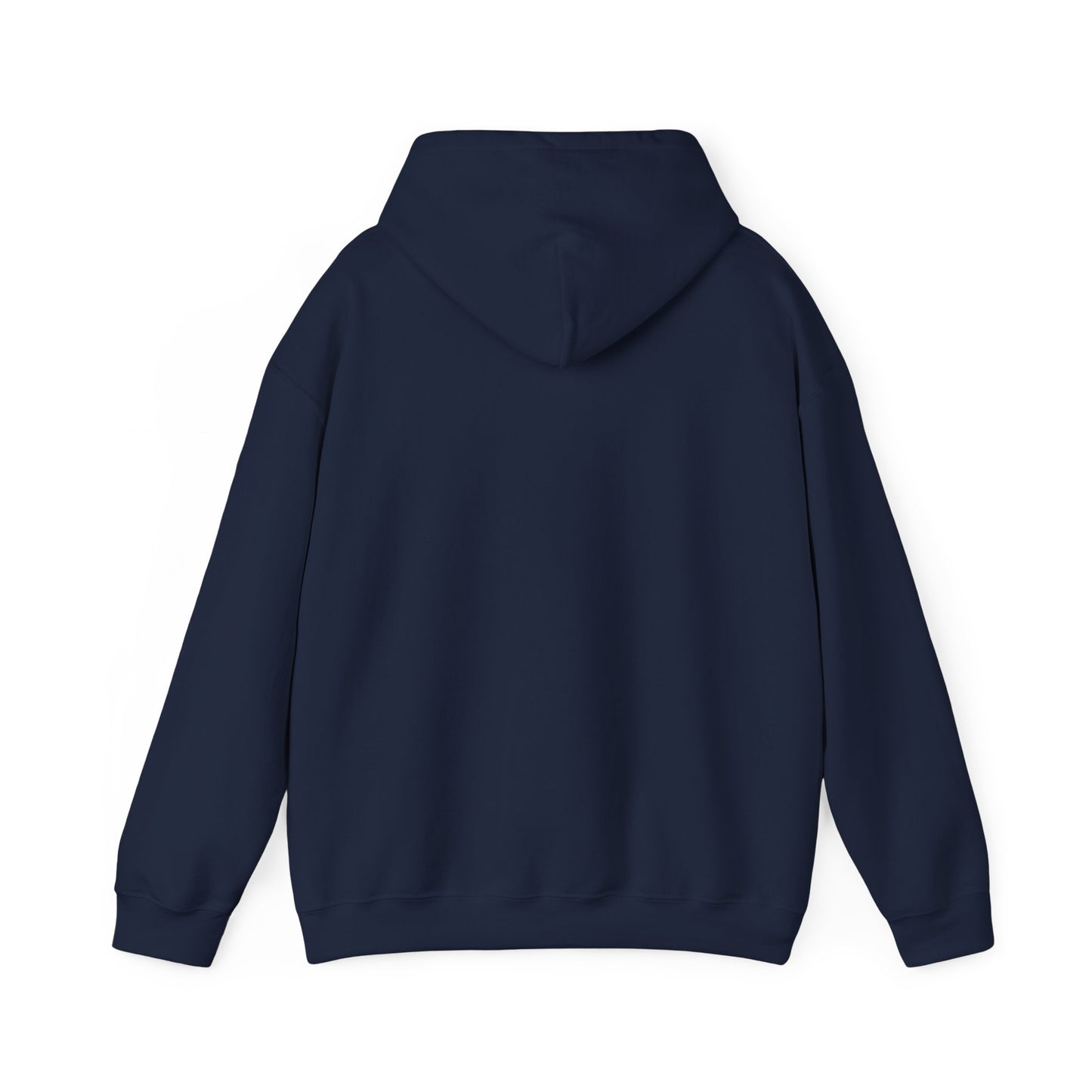 V1 Hoodie