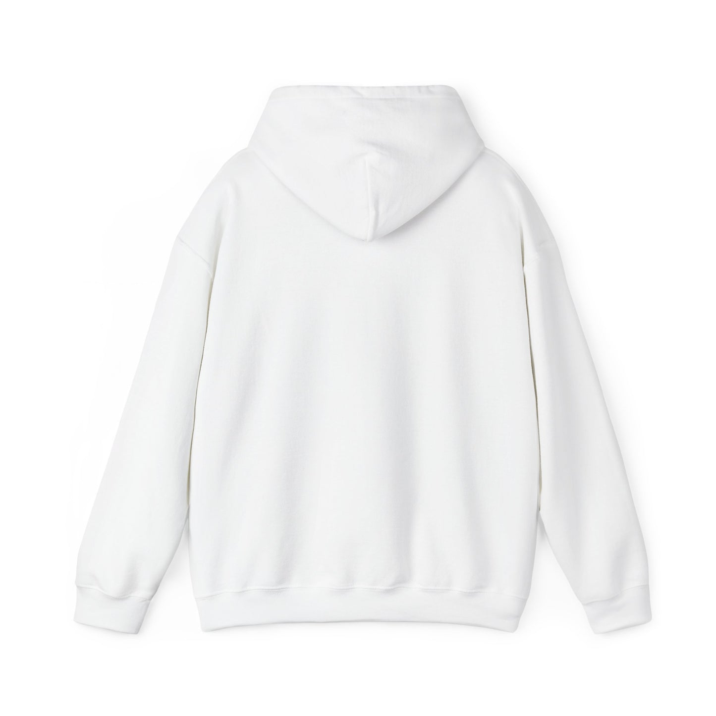 V1 Hoodie