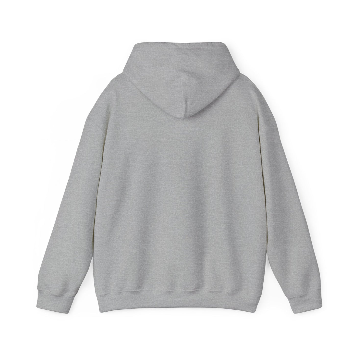 V1 Hoodie
