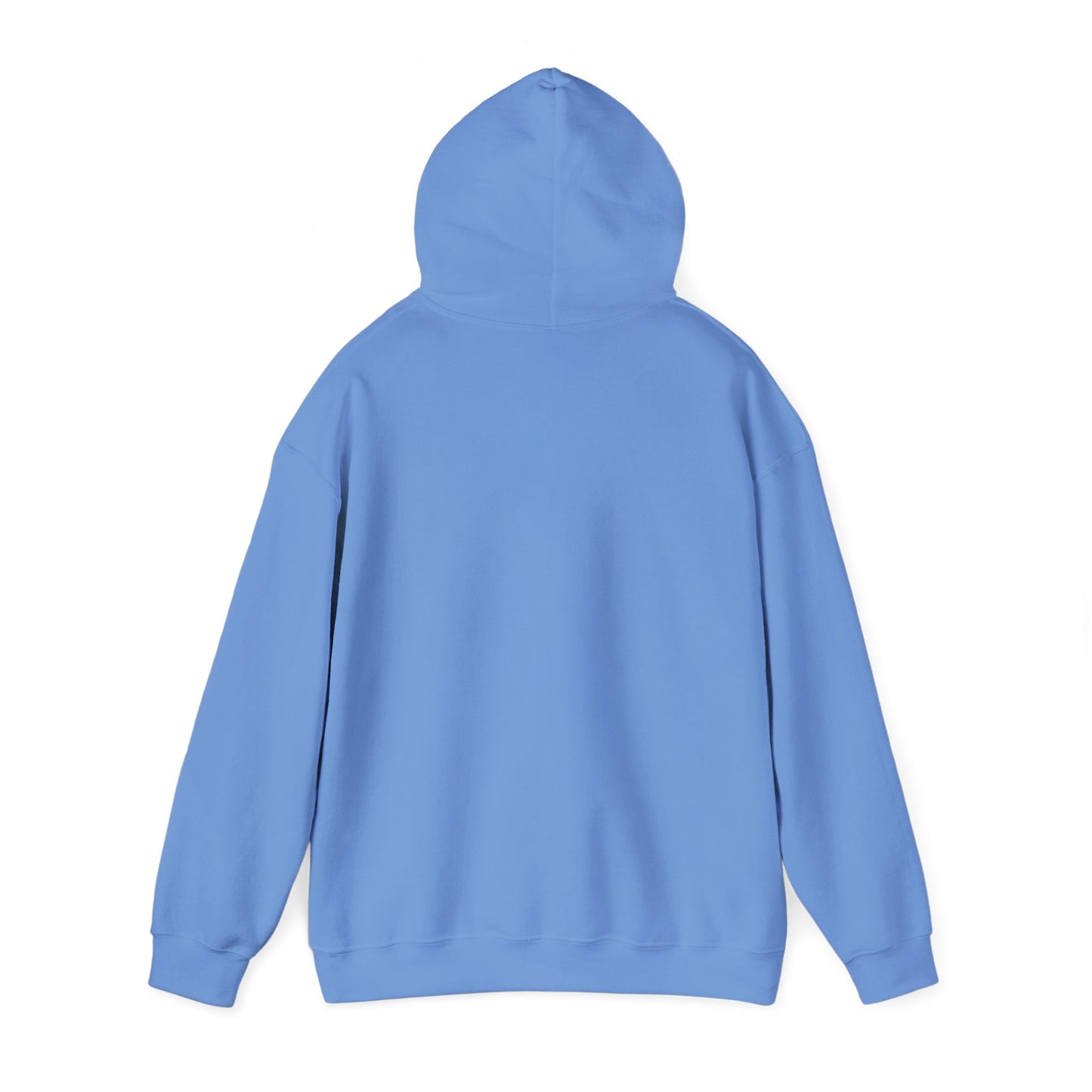 V1 Hoodie