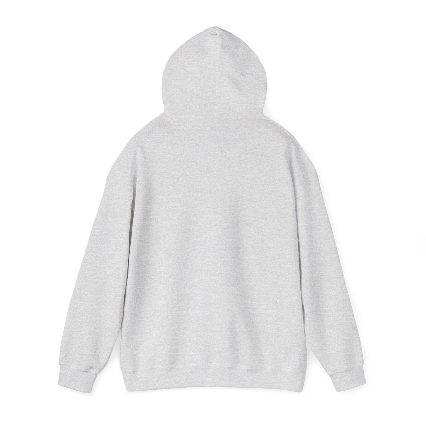 V1 Hoodie