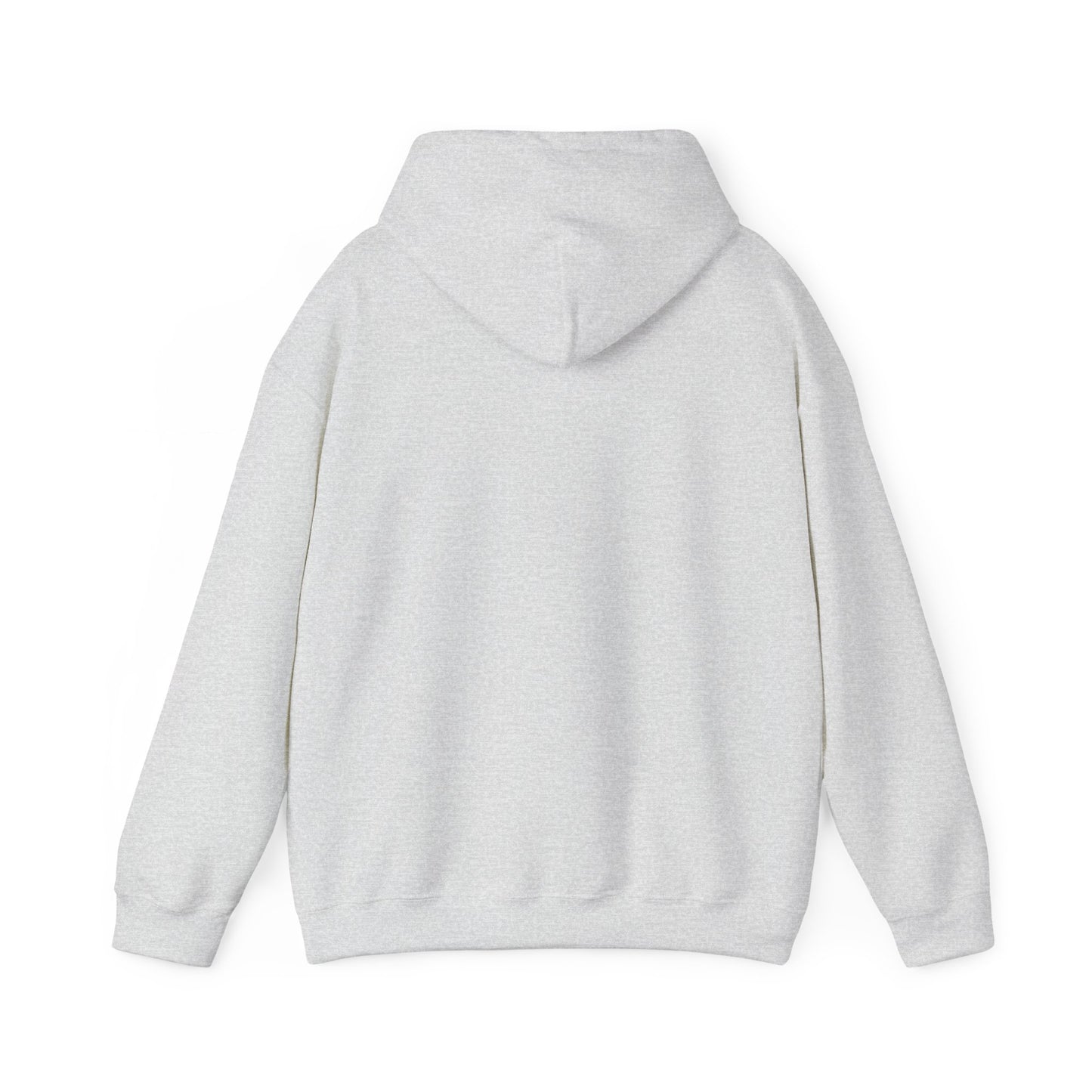 V1 Hoodie