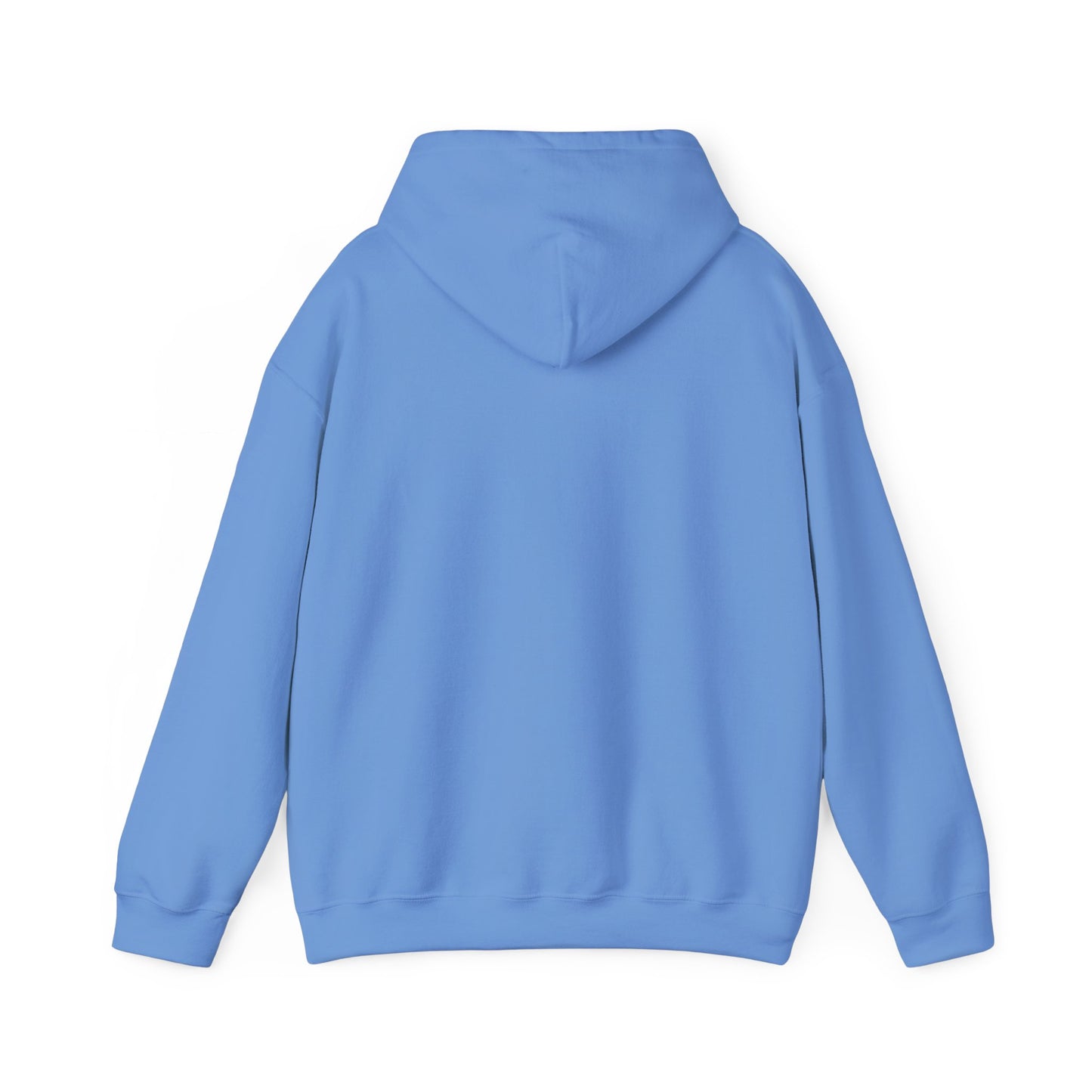 V1 Hoodie