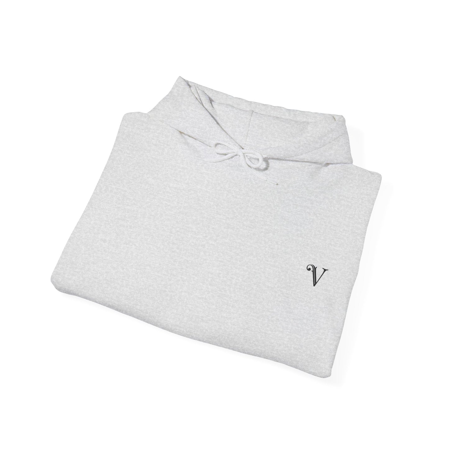 V1 Hoodie