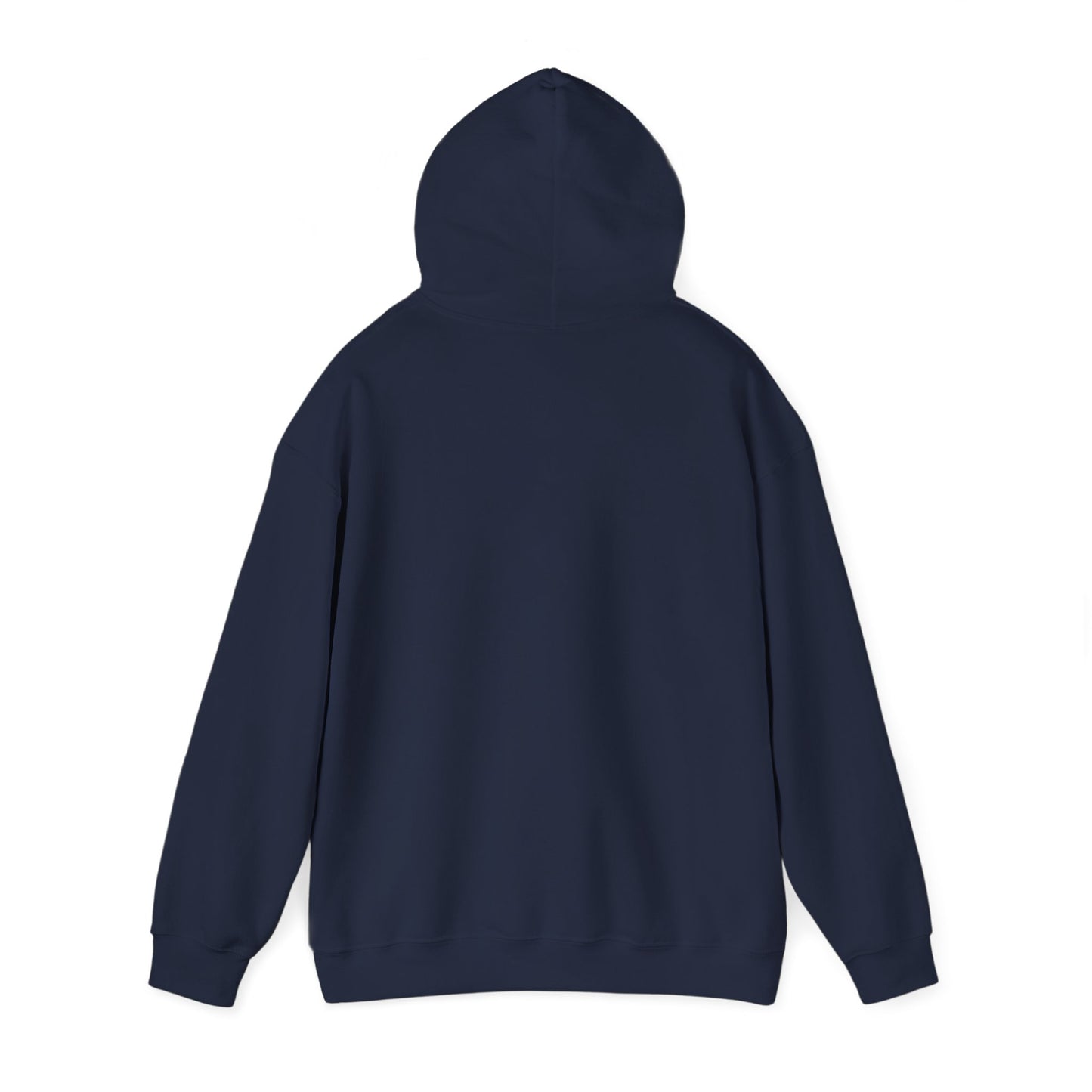 V1 Hoodie