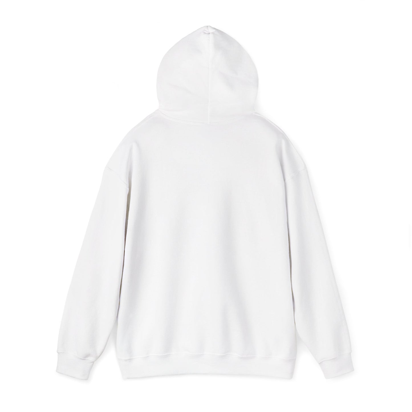 V1 Hoodie