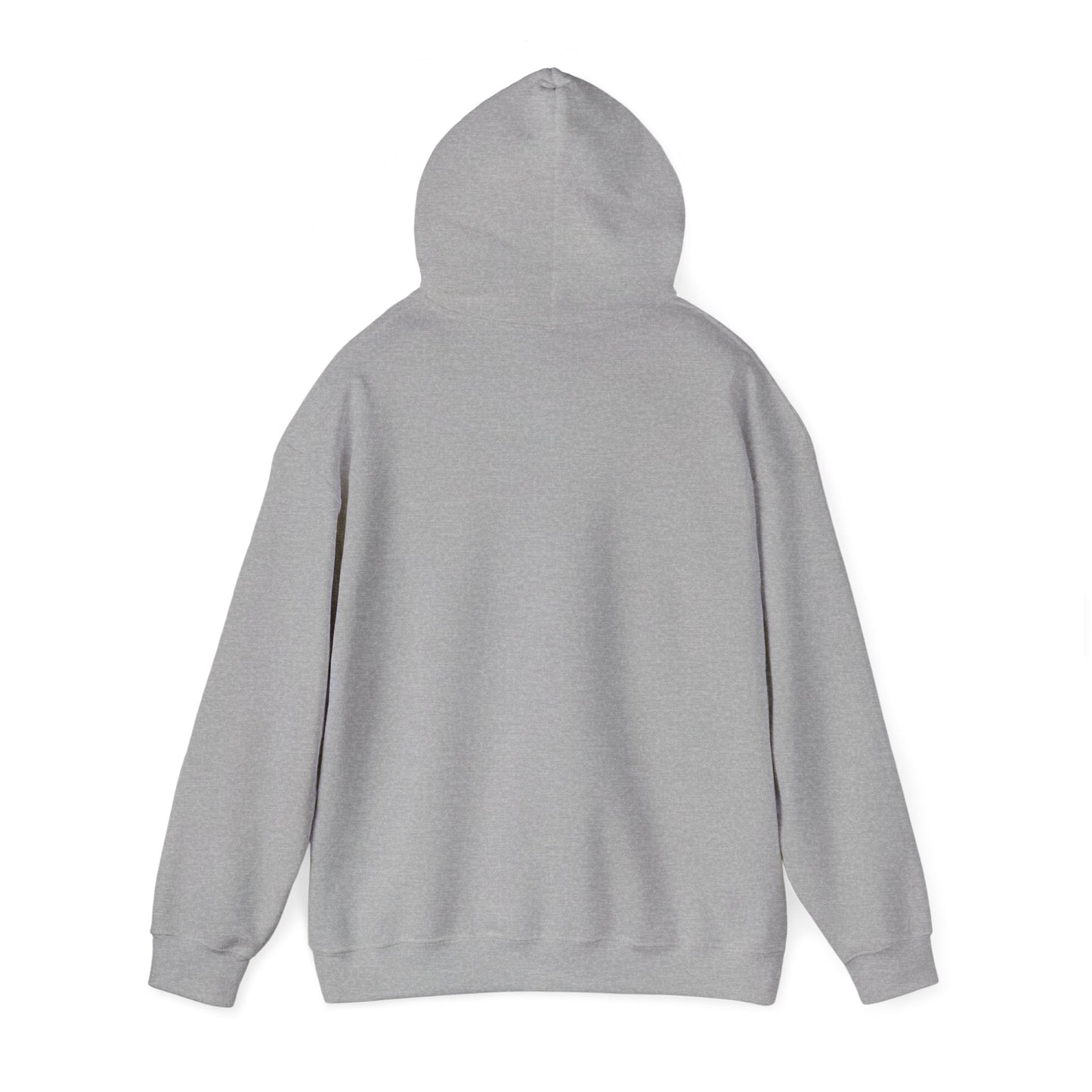 V1 Hoodie